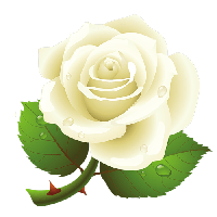 Download Rose Free PNG photo images and clipart | FreePNGImg