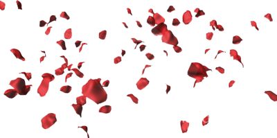 Rose Petals Hd PNG Image