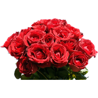 Rose Bunch PNG
