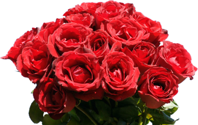 Rose Bunch PNG Image