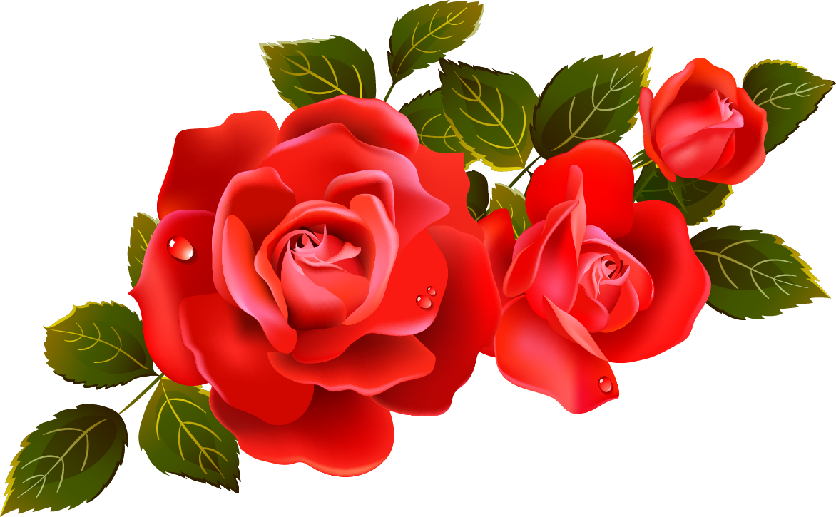 2 roses clipart background