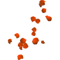 Rose Petals Transparent Image PNG