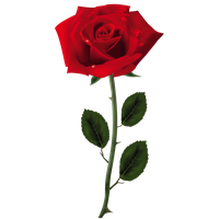 ❤ Animation Saint-Valentin 2021 ❤ Récolte à la Rose 3-2-rose-free-download-png-thumb
