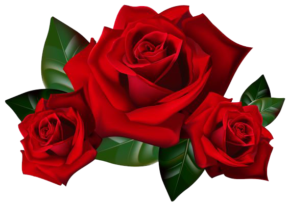 Gothic Rose Transparent PNG Image