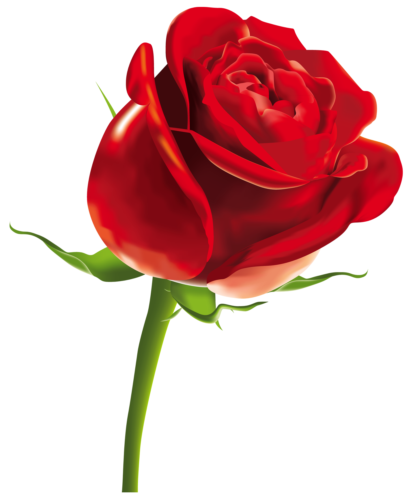 Rose Png Picture PNG Image