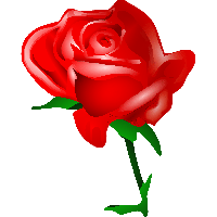 Rose Png Image Picture Download PNG Image