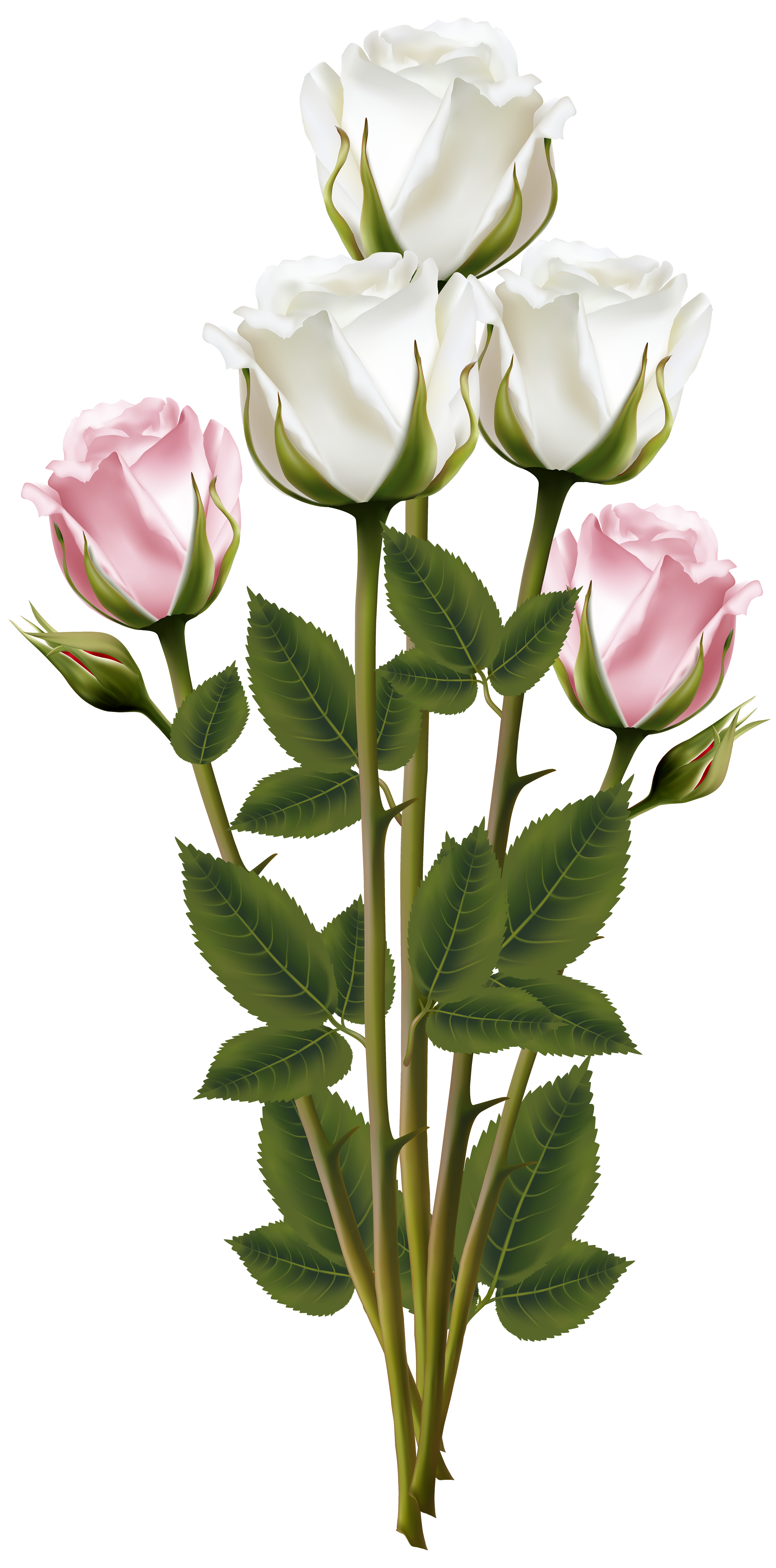 Bouquet Rose Pink Flower Plant Free Download Image PNG Image