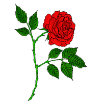 Download Rose Tattoo Free PNG photo images and clipart | FreePNGImg