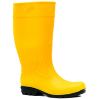 Rubber boots PNG