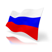 Russia flag PNG transparent image download, size: 255x227px