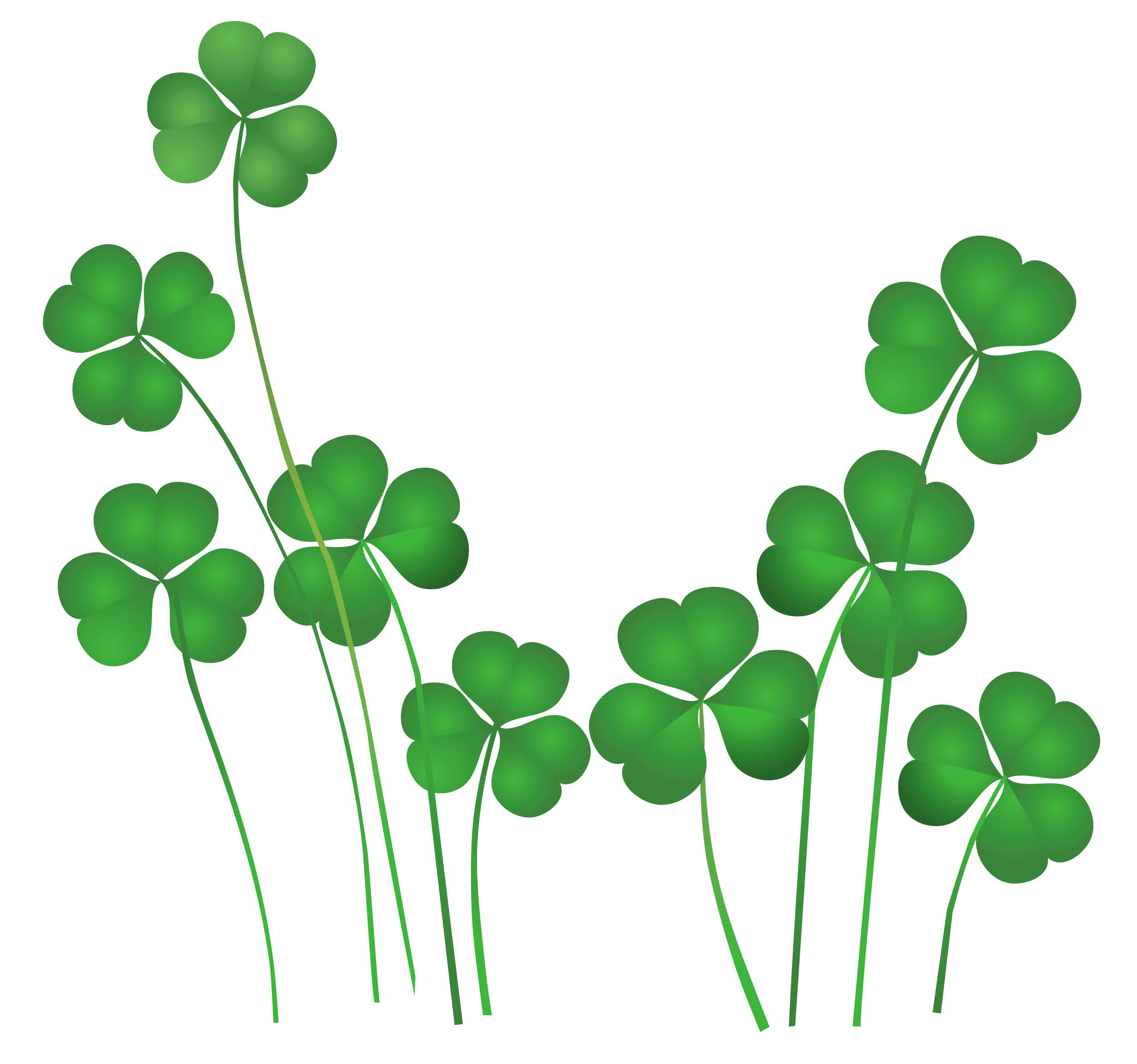 Plant Leaf Ireland Patrick Day Saint Holiday PNG Image