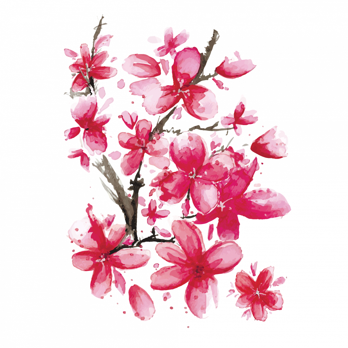Sakura Transparent PNG Image