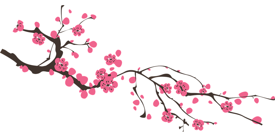 Sakura Transparent PNG Image