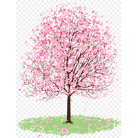 Sakura PNG