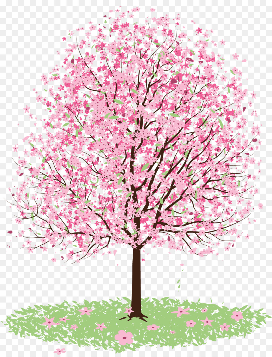 Sakura Transparent PNG Image