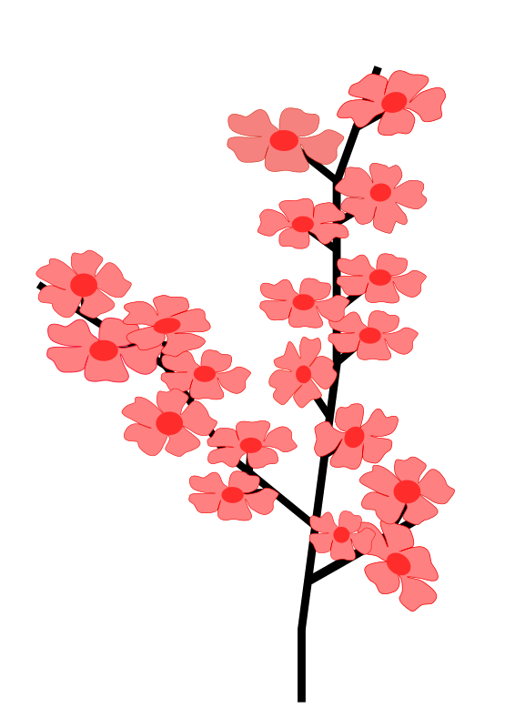 Sakura Transparent PNG Image