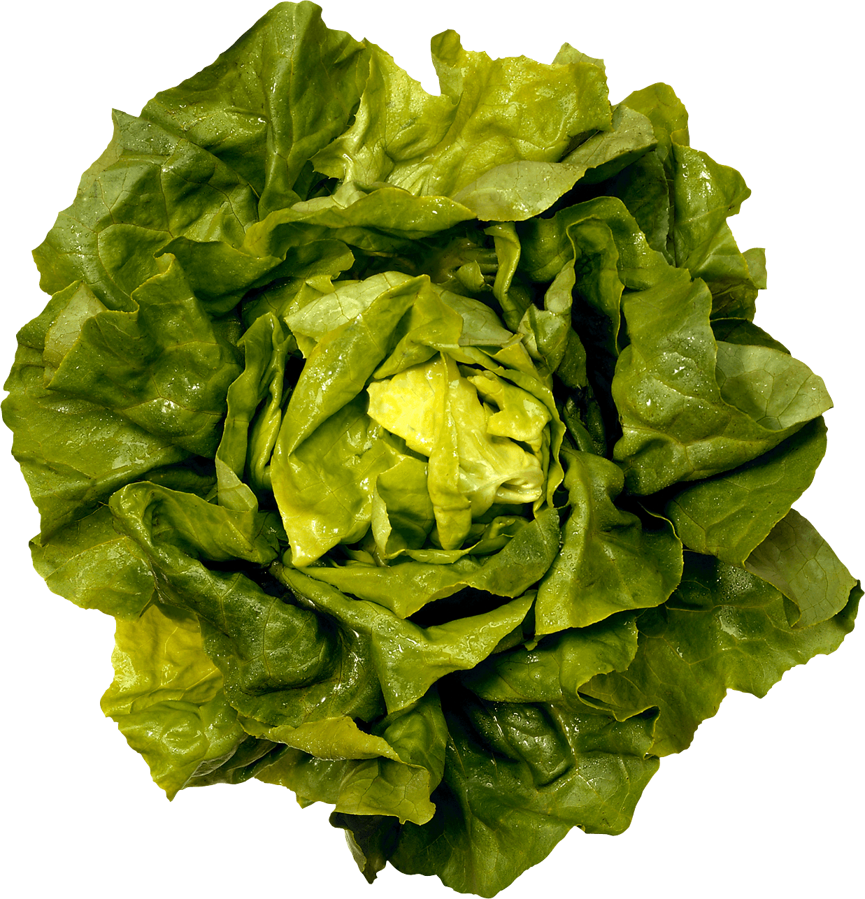 Green Salad Png Image PNG Image