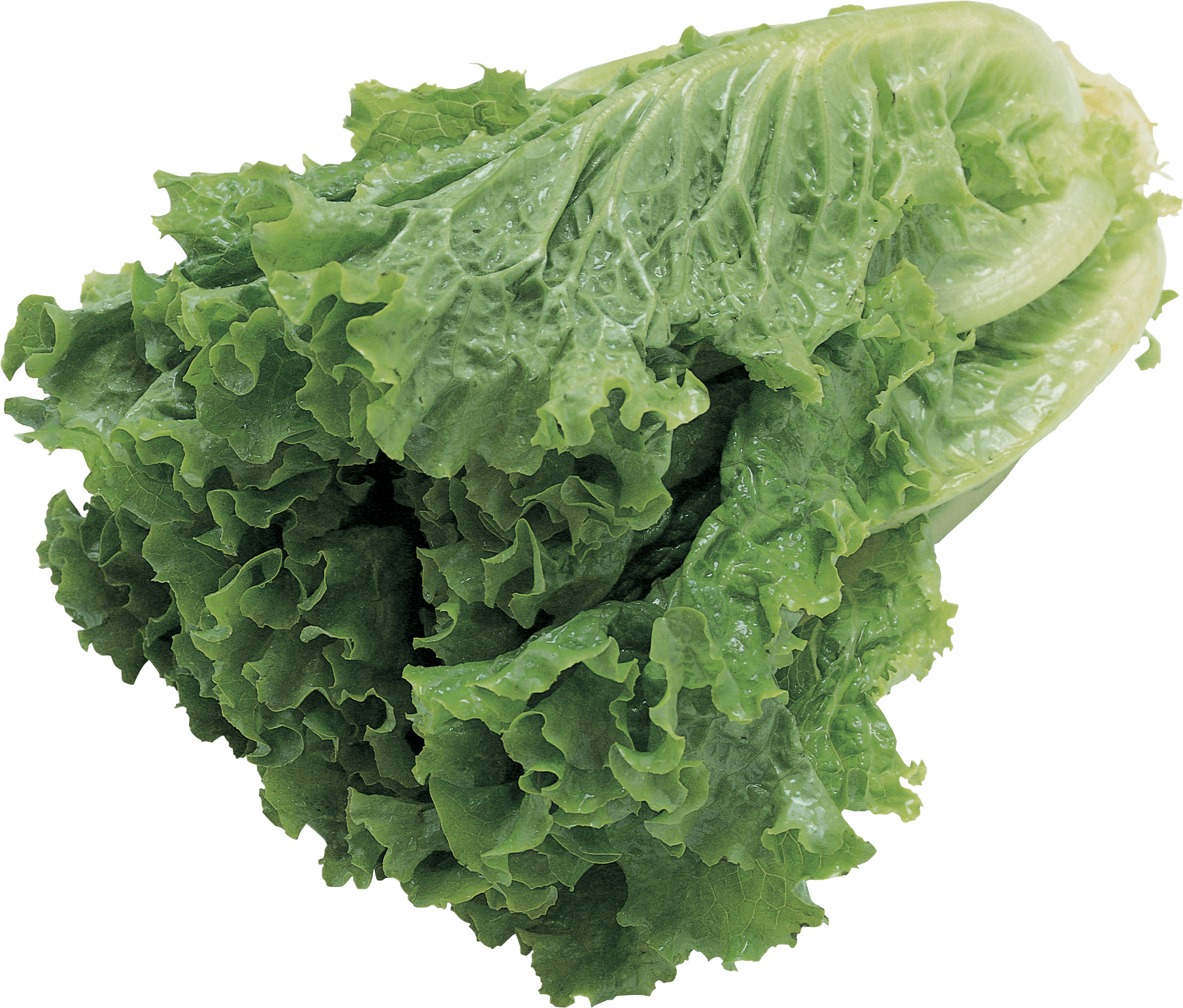 Salad Png Image PNG Image