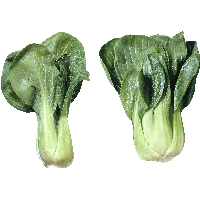 Salad Png Image PNG