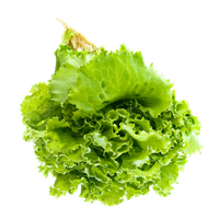 download salad free png photo images and clipart freepngimg download salad free png photo images