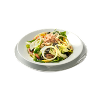 Tuna Salad PNG Image