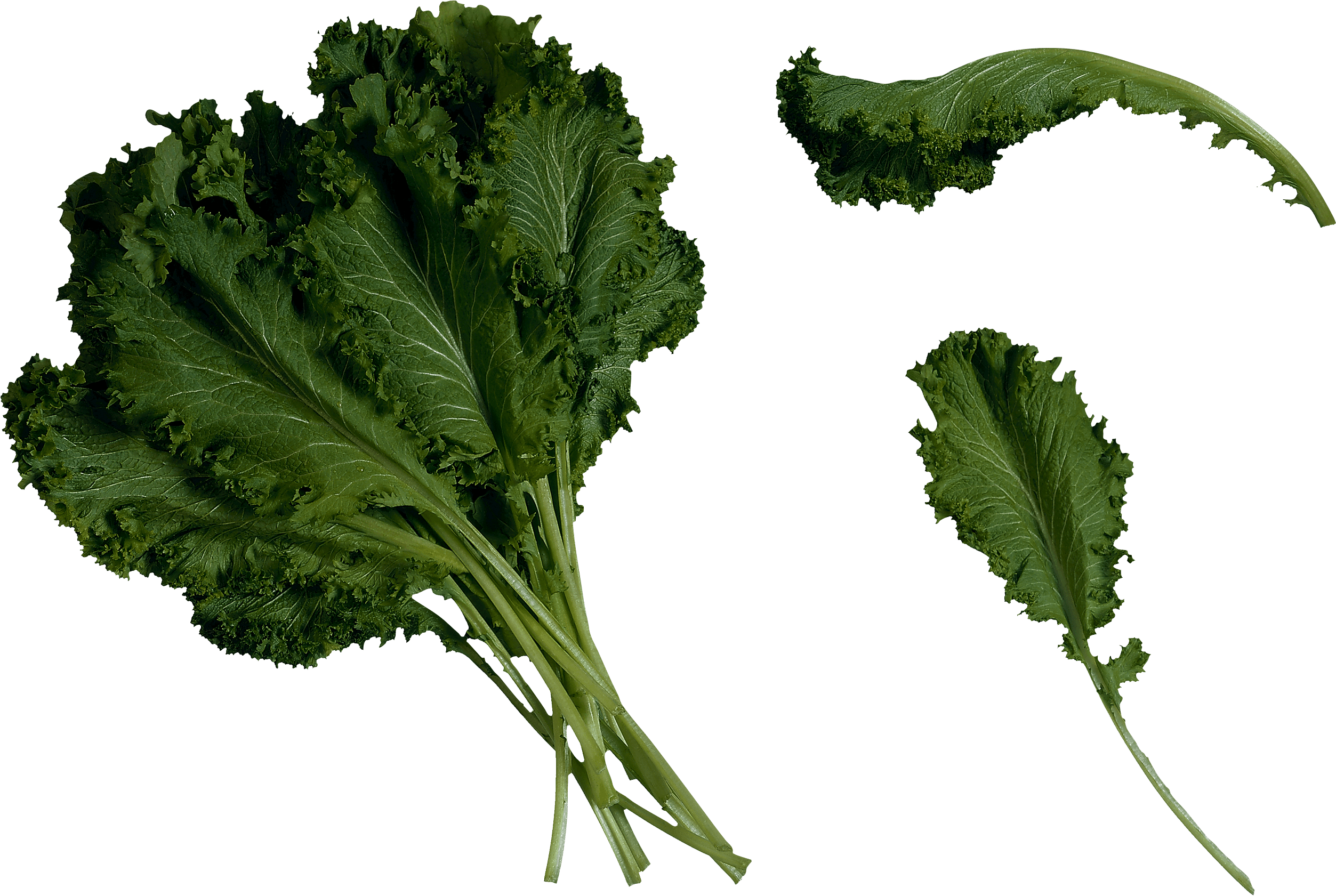 Salad Png Image PNG Image