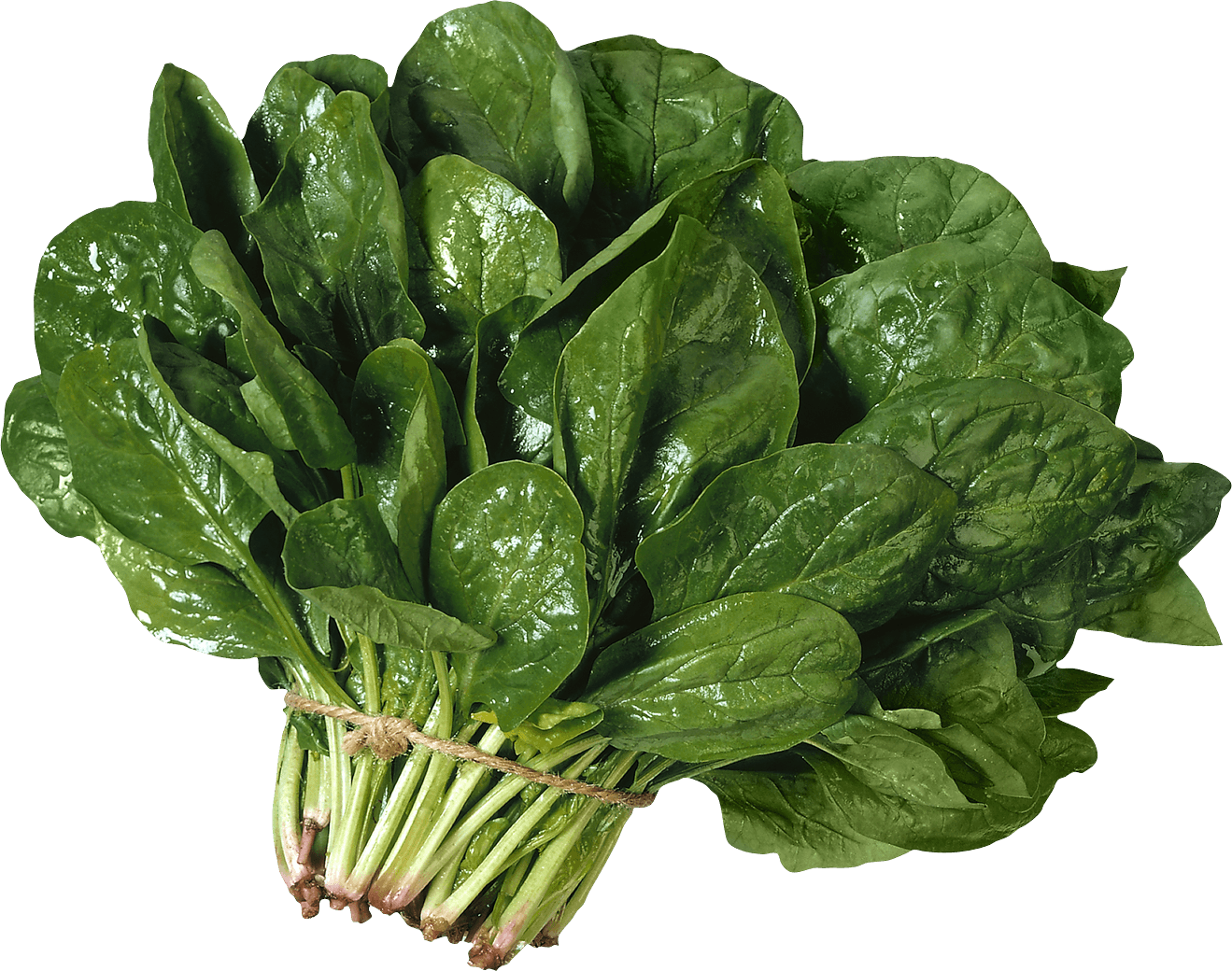 Salad Png Image PNG Image