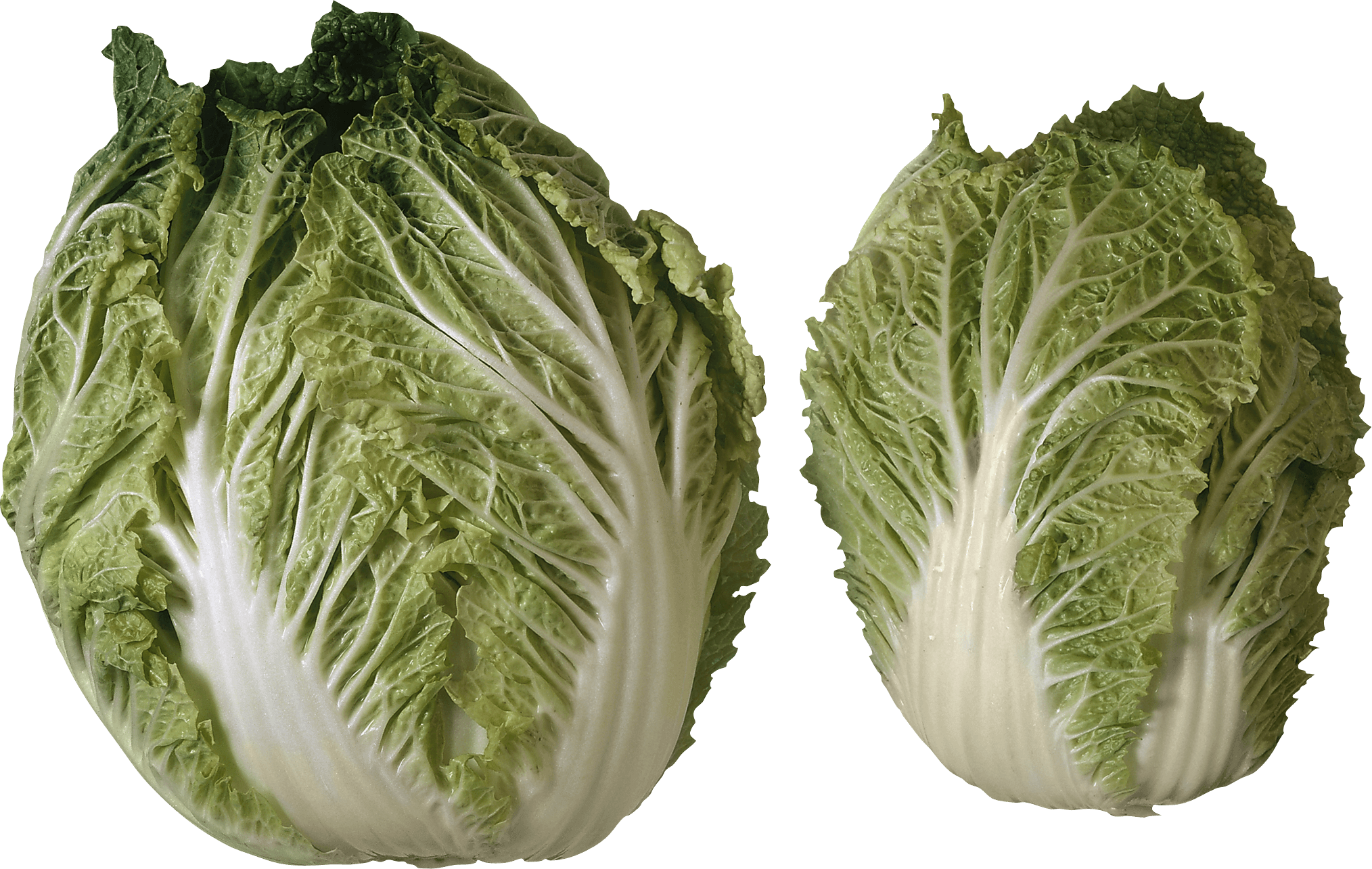 Salad Png Image PNG Image