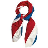 Scarf PNG