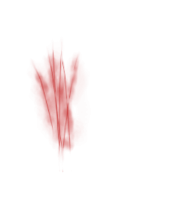 Scar Transparent PNG Image