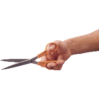 Scissors Png Image Transparent PNG Image