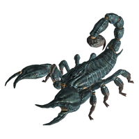 Scorpion PNG