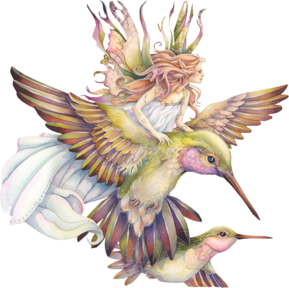 Fairy Bird Download HQ PNG PNG Image