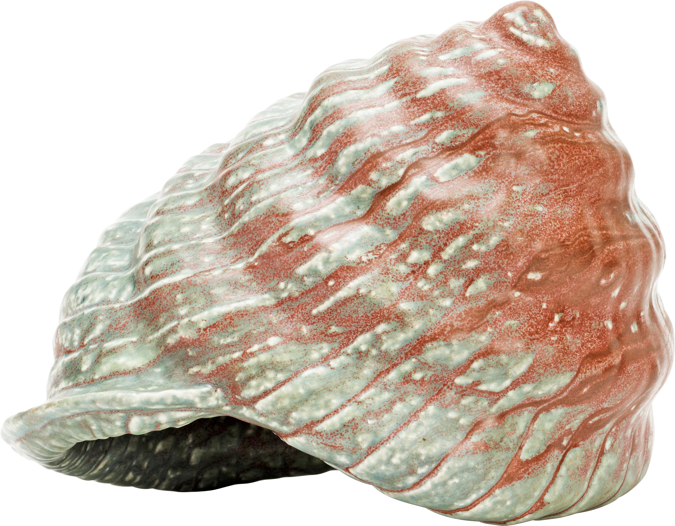 Seashell Transparent PNG Image