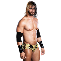 Seth Rollins Png PNG Image