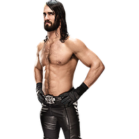 Seth Rollins Png Picture PNG Image