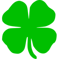 Plant Ireland Patrick Shamrock Saint Font Day Transparent HQ PNG ...