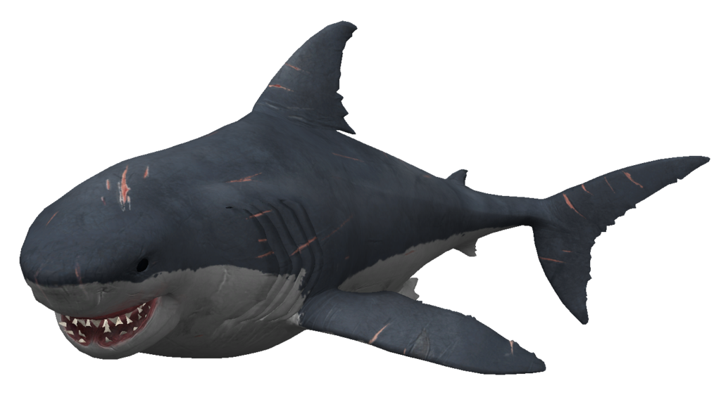 Megalodon Shark Aquatic Free Photo PNG Image