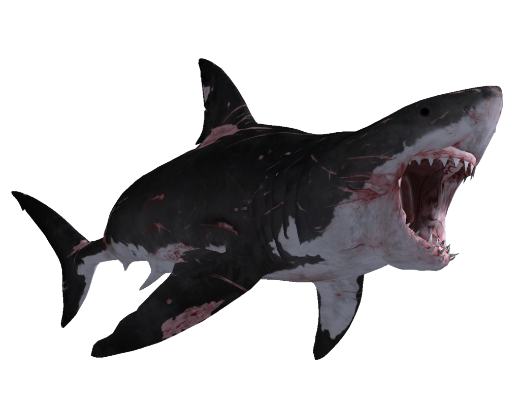 Big Shark Megalodon HD Image Free PNG Image