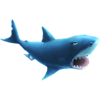 Blue Megalodon Shark Photos PNG Free Photo