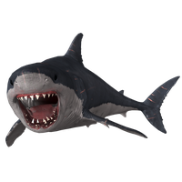 Megalodon Shark Face Free Transparent Image HQ