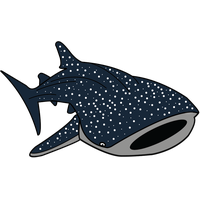 Download Shark Free PNG photo images and clipart | FreePNGimg