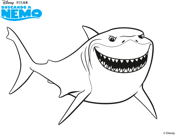Shark Vector Nemo Free Transparent Image HQ PNG Image