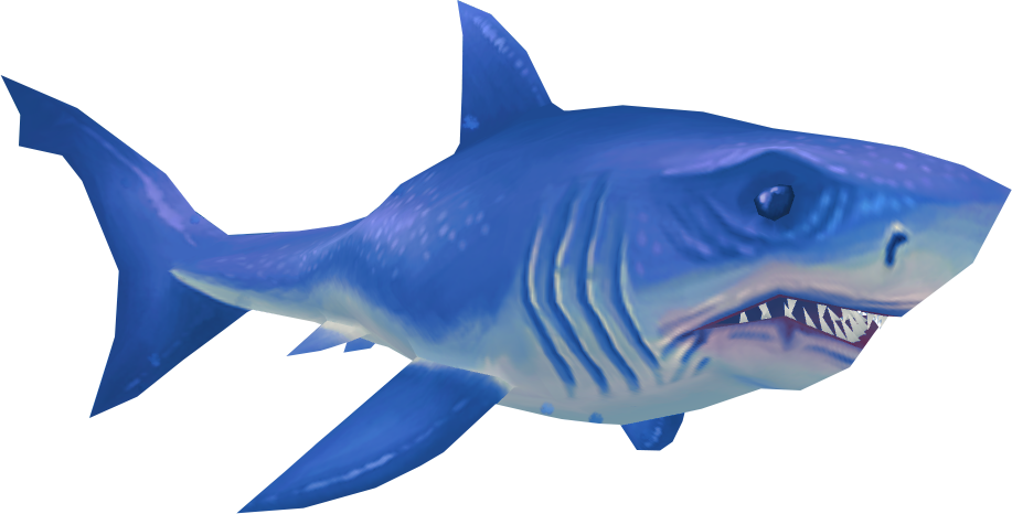 Blue Real Shark Photos Free Download PNG HQ PNG Image
