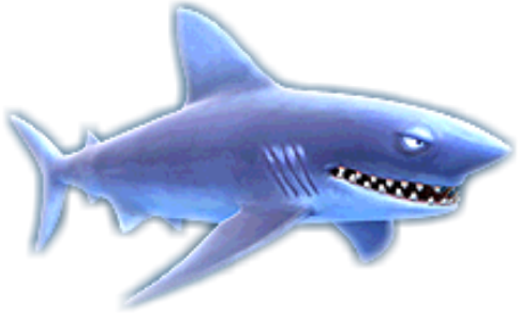 Real Shark Free Download Image PNG Image