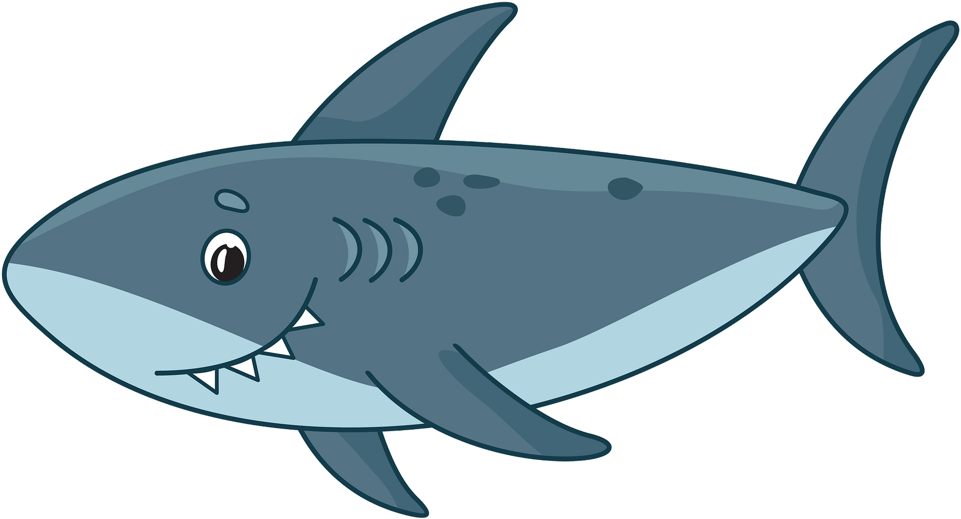 Shark Transparent PNG Image