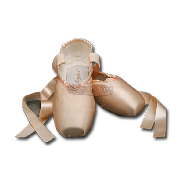 Pointe Shoes PNG Image High Quality PNG Image