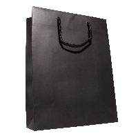 Shopping Bag Png Image PNG