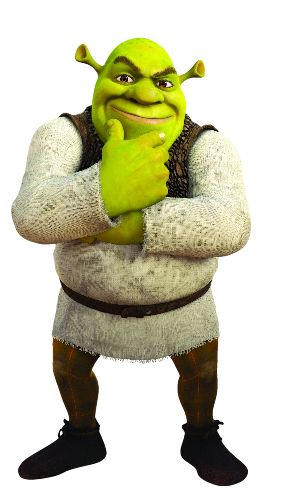 Shrek Photo PNG Image