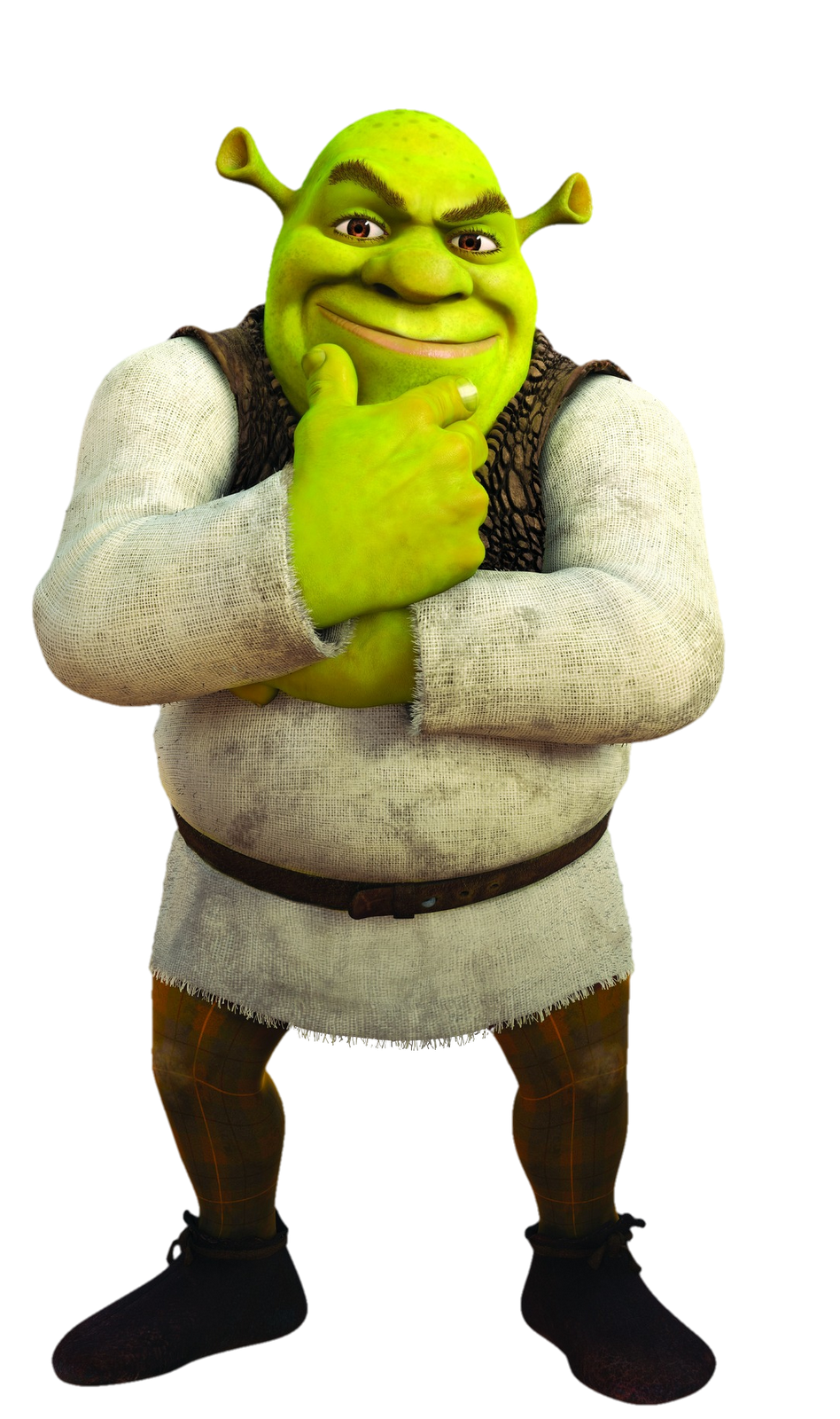 Download Shrek Photo HQ PNG Image | FreePNGImg